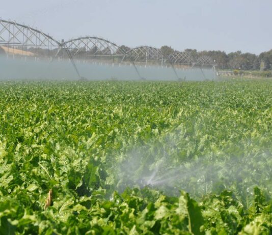 ASAJA valora positivamente que la Junta , por fin, se haya interesado por la zona regable de La Valduerna