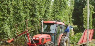 ASAJA niega que los agricultores paguen a sus trabajadores por debajo del salario mínimo interprofesional