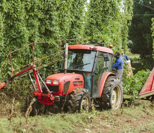 ASAJA niega que los agricultores paguen a sus trabajadores por debajo del salario mínimo interprofesional