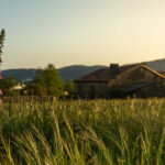 Más que agricultura