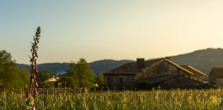 Más que agricultura