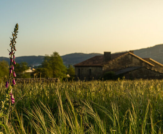 Más que agricultura