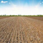 Modificación excepcional barbecho SIE campaña 2022