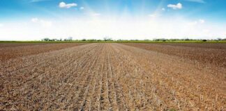 Modificación excepcional barbecho SIE campaña 2022