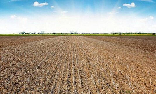 Modificación excepcional barbecho SIE campaña 2022