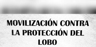 ASAJA apoya la manifestación en Riaño contra el actual sistema de protección del lobo