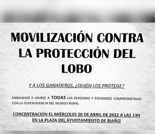 ASAJA apoya la manifestación en Riaño contra el actual sistema de protección del lobo