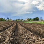 Convenio colectivo de actividades agropecuarias en la provincia de León