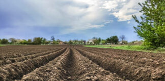 León se sitúa entre las provincias de cabeza en minifundismo agrario en España