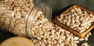 ASAJA advierte de una reducción en las siembras de alubias si los almacenistas no mejoran los precios de los contratos