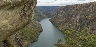 Las seis noticias agrarias de la semana – 17/02/2023