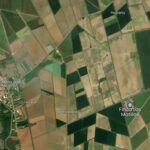 Arrendamiento de lote de fincas en «Finca Las Matillas» de la Diputación de León en Bustillo del Páramo