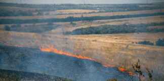 Las seis noticias agrarias – 15/04/2022