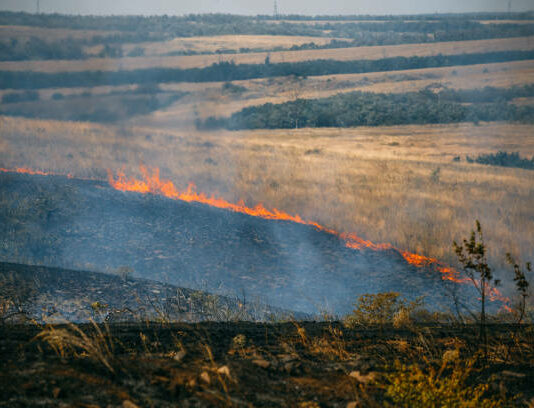 Las seis noticias agrarias – 15/04/2022