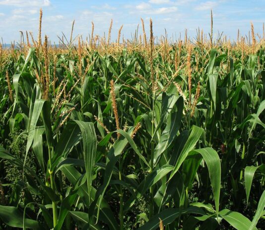 Cambios de valores catastrales