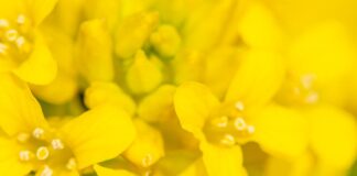 Las seis noticias agrarias – 13/05/2022