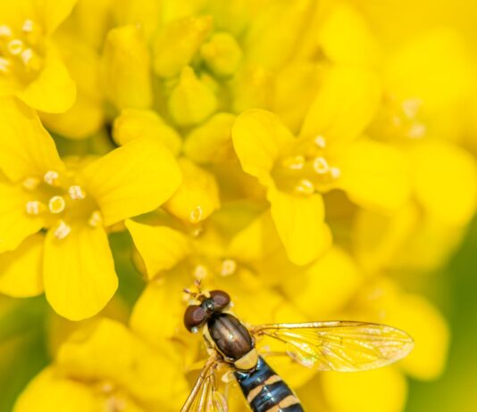 Las seis noticias agrarias – 13/05/2022