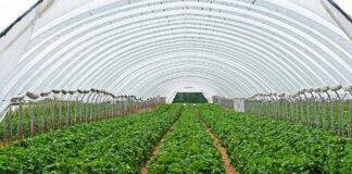 Publicadas las ayudas del «Plan de recuperación, transformación y resiliencia»