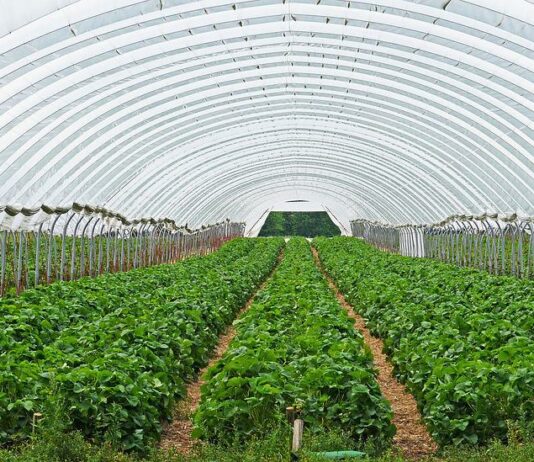 Publicadas las ayudas del «Plan de recuperación, transformación y resiliencia»