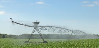 Las seis noticias agrarias de la semana – 10/06/2022