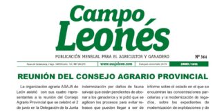 Campo leonés junio 2022