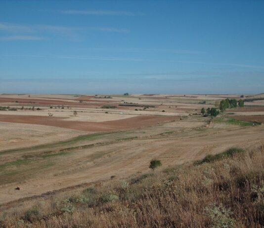 Asaja aconseja a los agricultores de los Oteros que se pongan de acuerdo entre ellos y ocupen las nuevas fincas de reemplazo