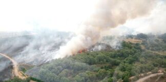 Las seis noticias agrarias de la semana – 08/08/2025