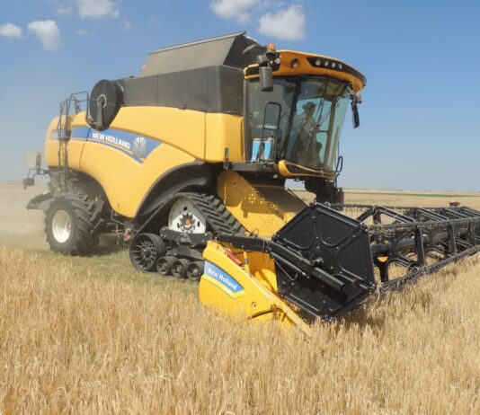 Las seis noticias agrarias de la semana – 26/08/2022