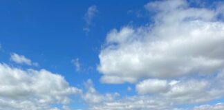 Normas generales para la tramitación de la PAC