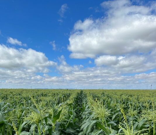 Normas generales para la tramitación de la PAC