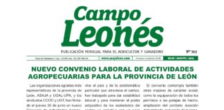 Campo Leonés julio-agosto 2022