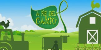 Nuevos horarios ‘A PIE DEL CAMPO’