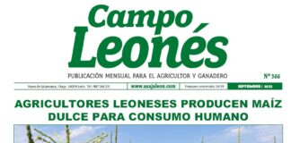 Campo leonés septiembre 2022
