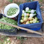 Salvemos los huertos