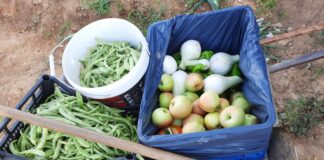 Salvemos los huertos