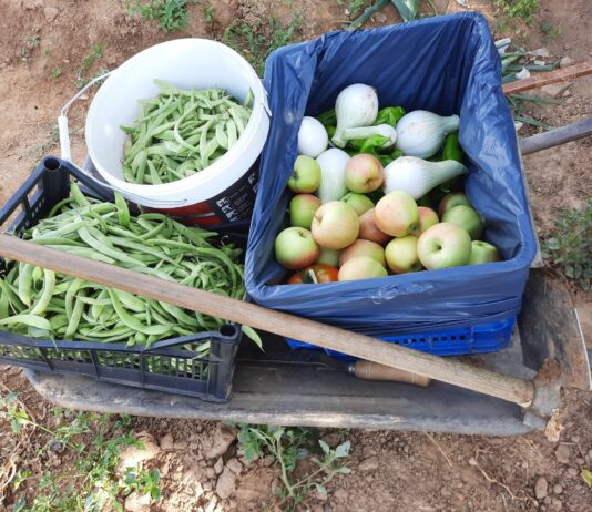 Salvemos los huertos