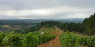 ASAJA participa mañana, con todos sus representantes, en la reunión del Consejo Agrario Provincial que se desplaza a El Bierzo