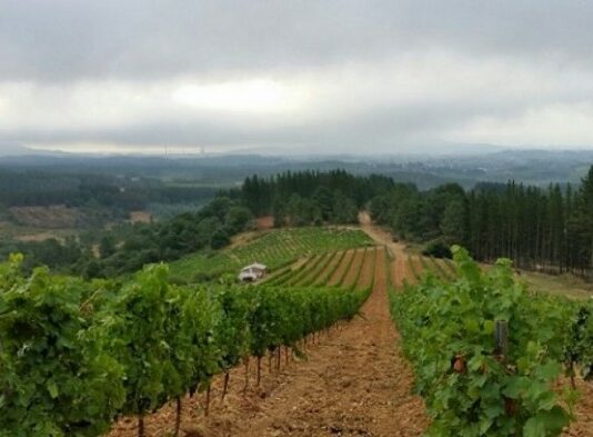ASAJA participa mañana, con todos sus representantes, en la reunión del Consejo Agrario Provincial que se desplaza a El Bierzo