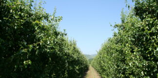 Asaja impartirá mañana viernes dos reuniones informativas en Ponferrada sobre la nueva Pac