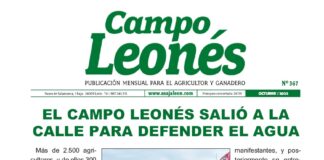 Campo leonés octubre 2022