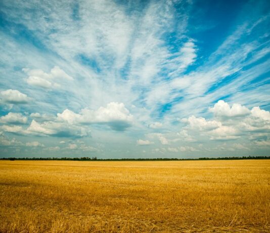 ASAJA ha pedido a la Diputación de León que dé instrucciones de cómo devolver el IBI de rústica a los agricultores