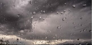 Las lluvias de más de 50 litros por metro cuadrado, en dos semanas, obligan a parar todas las labores agrícolas en la provincia de León