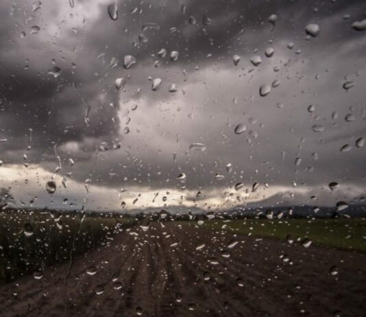 Las lluvias de más de 50 litros por metro cuadrado, en dos semanas, obligan a parar todas las labores agrícolas en la provincia de León