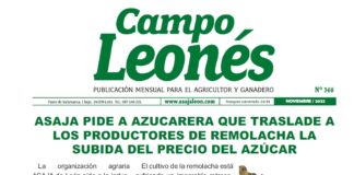 Campo Leonés noviembre 2022
