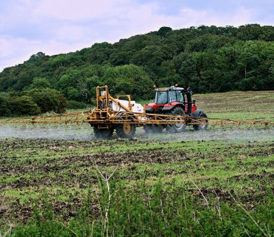 Las seis noticias agrarias de la semana – 11/11/2022