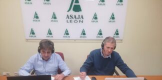 Asaja de León ha participado hoy, por videoconferencia, en el Grupo de Trabajo Lúpulo del Copa- Cogeca de Bruselas