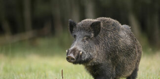 Las seis noticias agrarias de la semana – 16/12/2022