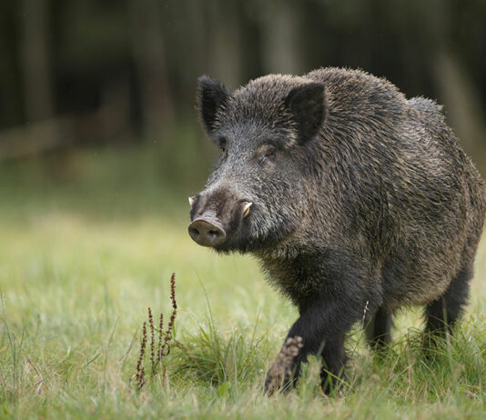 Las seis noticias agrarias de la semana – 16/12/2022