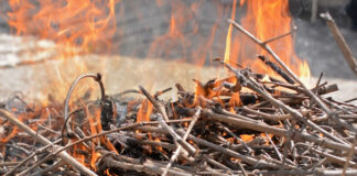 Las seis noticias agrarias de la semana – 30/12/2022