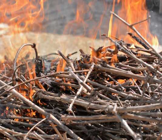 Las seis noticias agrarias de la semana – 30/12/2022